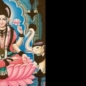 Meet your Posher, May mei